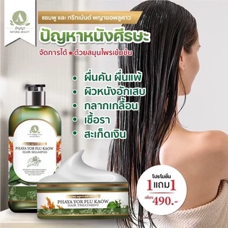 แชมพูพญายอพลูคาว แก้คันเชื้อรา ผมร่วง ของแท้จากบริษัท 1ขวด 250ml