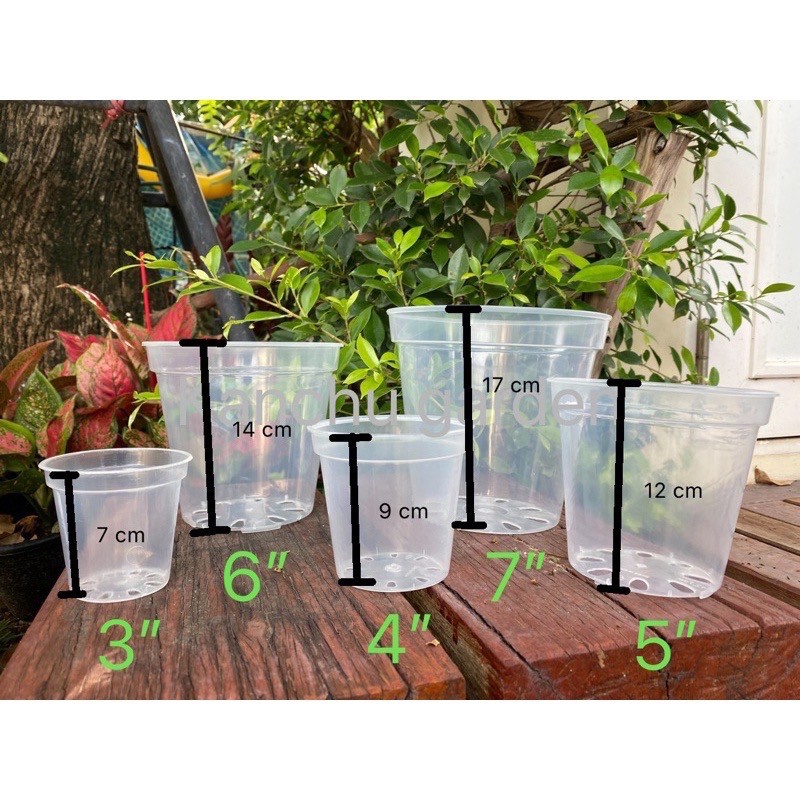 1 ใบ (一个) กระถางใส กระถางต้นไม้ใส กระถางต้นไม้พลาสติกใส 3นิ้ว(7cm), 4นิ้ว(10cm), 5นิ้ว(13cm), 6นิ้ว(