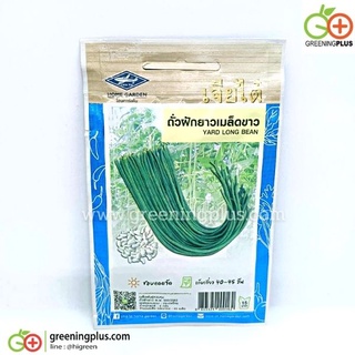 ถั่วฝักยาวเมล็ดขาว (Yard long bean) เจียใต๋