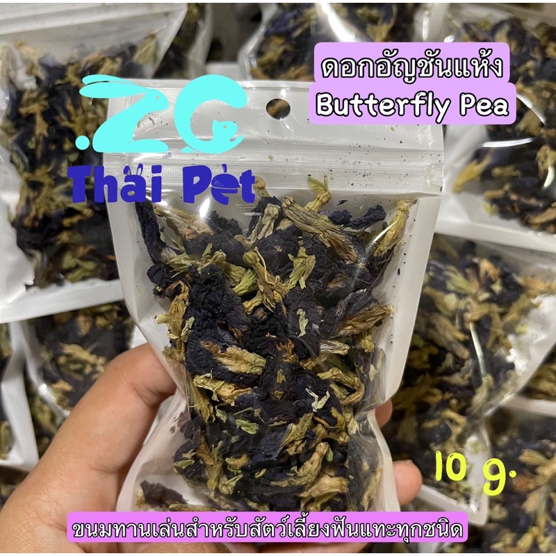 (ZC) ดอกอัญชันแห้ง Butterfly Pea 🌷 ดอกไม้แต่งกรง สามารถทานได้ สำหรับสัตว์เลี้ยงฟันแทะ ขนาด 10 g.