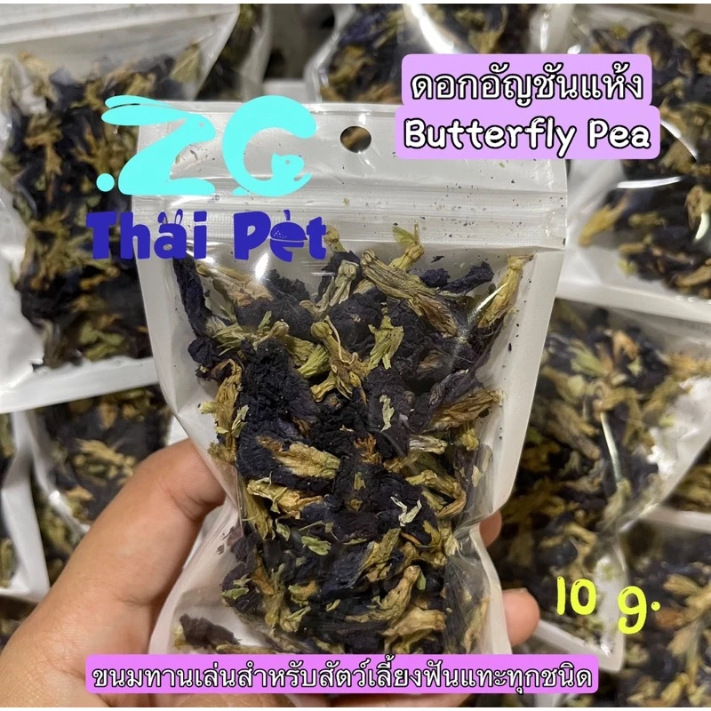 (ZC) ดอกอัญชันแห้ง Butterfly Pea 🌷 ดอกไม้แต่งกรง สามารถทานได้ สำหรับสัตว์เลี้ยงฟันแทะ ขนาด 10 g.