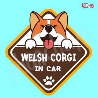 DIC50 สติ๊กเกอร์ ติดรถ Welsh Corgi Dog In Car สติ๊กเกอร์ติดรถ แต่งรถ car sticker