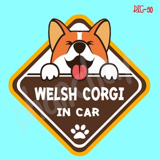 DIC50 สติ๊กเกอร์ ติดรถ Welsh Corgi Dog In Car สติ๊กเกอร์ติดรถ แต่งรถ car sticker