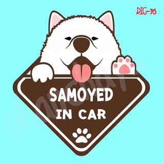 DIC35 สติ๊กเกอร์ ติดรถ Samoyed Dog In Car สติ๊กเกอร์ติดรถ แต่งรถ car sticker