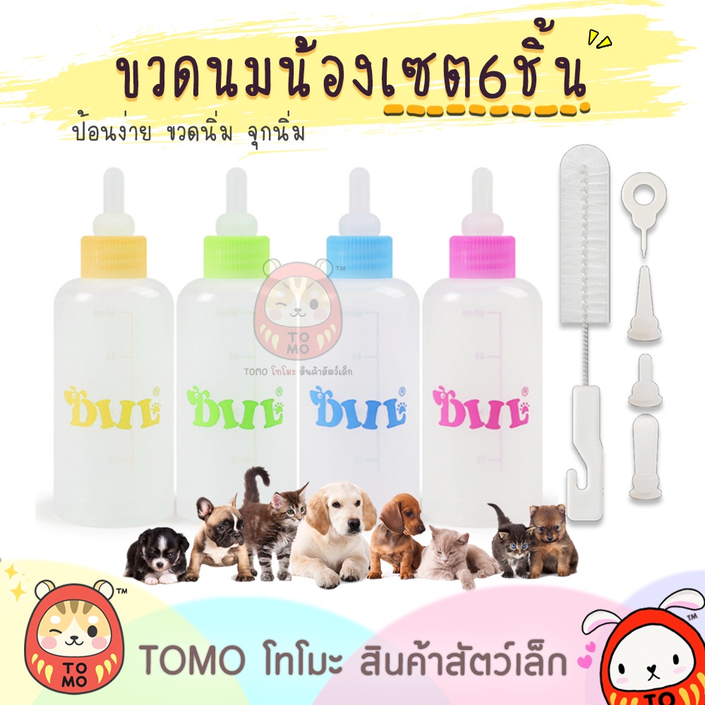 ร้านโทโมะ DIIL ขวดนม สัตว์เลี้ยง ลูกสุนัข ลูกแมว ชินชิล่า กระต่าย ครบเซต 6 ชิ้น จุกนม แปรงล้างขวดนม ราคาถูก