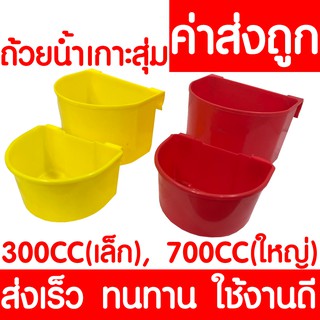 *ค่าส่งถูก* ถ้วยน้ำไก่ ถ้วยน้ำเกาะสุ่มไก่  นก ไก่ชน เกาะสุ่ม เลี้ยงนก เลี้ยงไก่