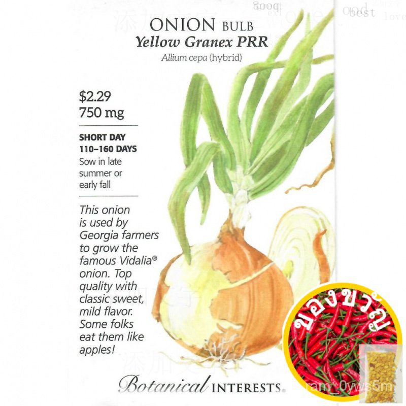 High quality seeds Onion Yellow granex PRR Vegetable Seeds-Plant Benefits 750mg 12/22 SPPLดอกไม้/พาสต้า/หมวก/ผักชี/เด็ก/