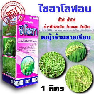 เอสกีโต สาร ไซฮาโลฟอบ-บิวทิล 🌱  🚚 แถมฟรีจับใบ 1 ขวด ...กำจัดหญ้าข้าวนก ขนาด 1 ลิตร