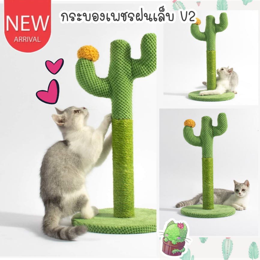 CatHoliday กระบองเพชรฝนเล็บ V2 ฝนเล็บแมว ที่ลับเล็บแมว ของเล่นแมว