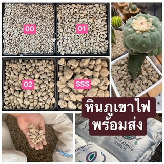 คุ้มมาก!! หินภูเขาไฟ Pumice Stone เบอร์ 00/01/02/SSS/SSSSSใหญ่พิเศษ คุ้มมาก เกรดฟาร์มแคคตัสใช้ พร้อมส่ง