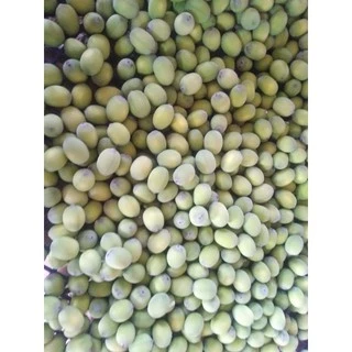 เม็ดบัวอ่อน/แก่ สด กก.ละ90บาท ปลูกธรรมชาติ
