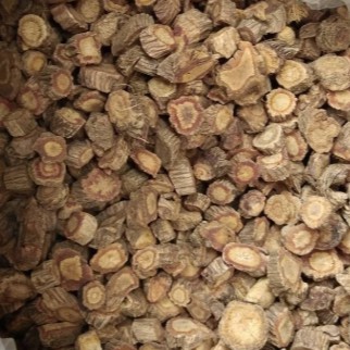 ห่วงฮง เม็ดใหญ่ (Radix Saposhnikoviae) 防风 ขนาด 1 กิโลกรัม - รูปที่ 2