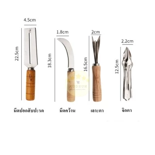 KUDSUN ที่ปอกสับปะรด มีดปอกผลไม้ ที่เลาะตาสับปะรด ด้ามจับไม้ Pineapple Peeler มีดเลาะตาสับปะรด สำหรับ ปอก เซาะ สับปะรด จ