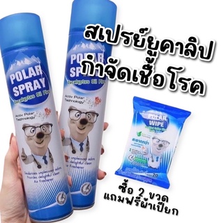 Polar Spray ( HOT promotion ซื้อสเปรย์ 2 ขวดแถมแผ่นผ้าเปียก)