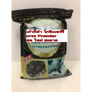 เก๋ากี้ดำ เก๋ากี้ โกจิเบอร์รี่ ขนาด250g พร้อมส่ง เกรดพรีเมี่ยม บำรุงสายตา ต้านอนุมูลอิสระ ผลไม้อบแห้ง黑枸杞