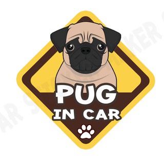 สติกเกอร์ติดรถ สติ๊กเกอร์ติดรถยนต์ สติกเกอร์หมา DGA157  pug dog