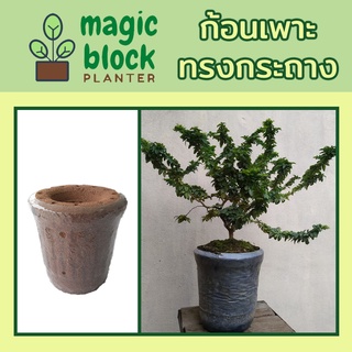 Magicblock กถ.-7 ก้อนเพาะมหัศจรรย์ทรงกระถาง ขนาด กว้าง 20.8 x สูง 22