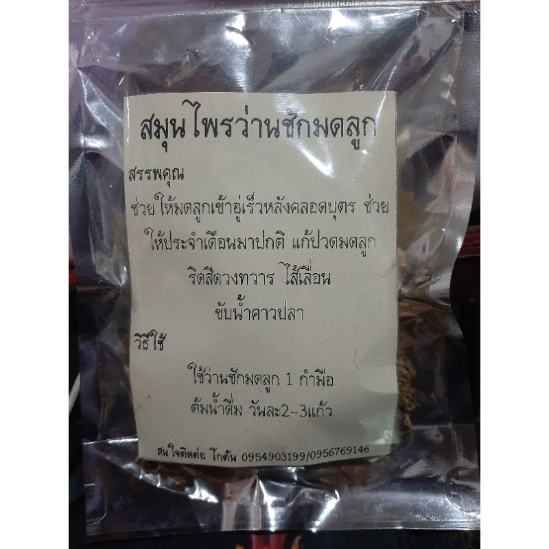 ว่านชักมดลูก สมุนไพรไทยพื้นบ้าน