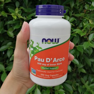 Pau D Arco 500 mg 250 Capsules, Now Foods® ลดการอักเสบ ต้านเชื้อแบคทีเรียและเชื้อรา ช่วยลดน้ำหนัก