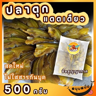 ปลาดุกแดดเดียว ปลาเค็ม น้ำหนัก 500 กรัม By รุ่งอรุณ