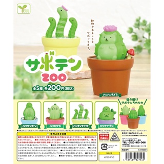 (เลือกแบบ) กาชาปองสัตว์ แคสตัส เม่น เพนกวิน ตุ่น • Animal Cactus Gashapon