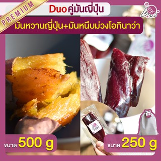 แพ็คคู่ถูกกว่า มันหวานญี่ปุ่น เบนิฮารุกะ 500g + มันหนึบม่วง 250g  มันหวานญี่ปุ่นนำเข้า มันหนึบ โอกินาว่า