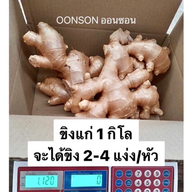 ขิง(ไทย)แก่ 1kg.จากเขาค้อ เกรดส่งออก