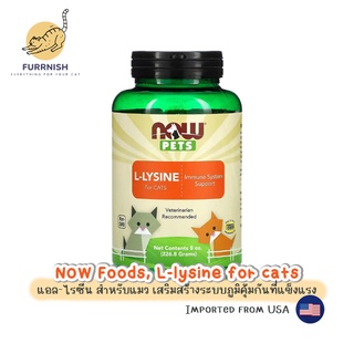 [แบ่งขาย🥣] NOW Foods, Now Pets แอล-ไลซีน สำหรับแมว วิตามินแมว L-lysine for cats วิตามินนำเข้า ของแท้ 100 %