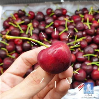 เชอร์รี่แดง Red Cherry นำเข้าจากประเทศ Chili (1 Kg.) ผลไม้นอก เชอรี่นำเข้า ผลไม้สด พรีเมี่ยม Premium Fruit Delivery