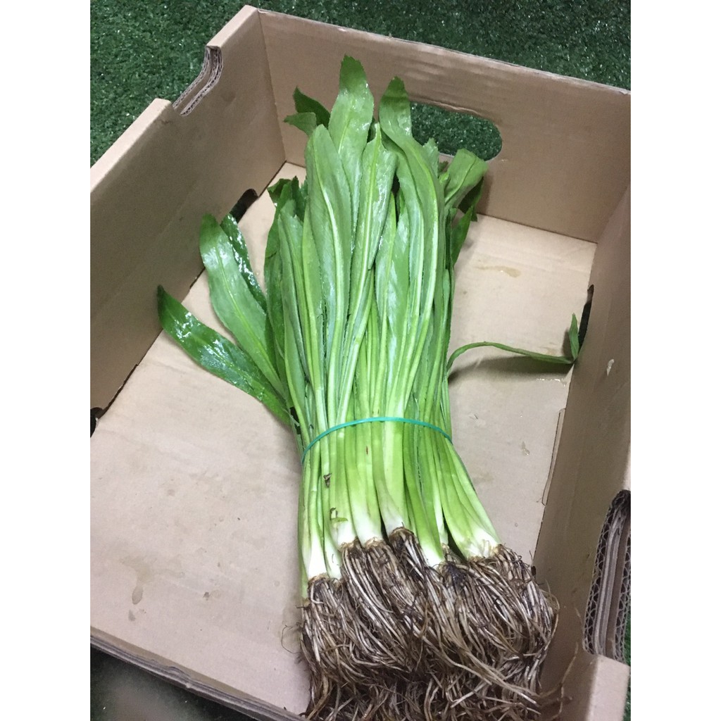 ผักชีฝรั่ง  – ผักชีฟรั่งใช้ทำต้มยำ หรือเมนูอื่นๆ