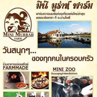 [E ticket] มินิมูร่าห์ฟาร์ม (Mini Murrah farm) หมดอายุ 25 ธค. 66