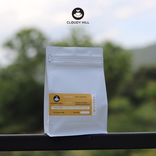 Cloudy Hill Specialty Coffee : เมล็ดกาแฟคั่วพิเศษ Washed Process Doi Mek ขนาด 250 g