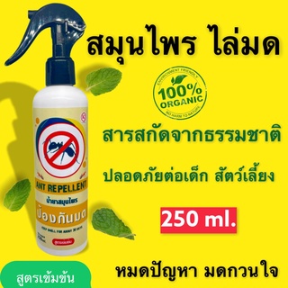 KJ develop สเปรย์ไล่มด ไล่แมลงสาบ ไล่แมลต่างๆ สกัดจากธรรมชาติ 100% สูตรเข้มข้น ขนาด 250 ml.