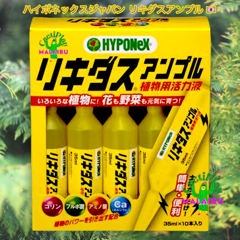 ไฮโปเน็กซ์ ปุ๋ยปักหลอดสีเหลือง ฟื้นฟูต้นไม้ให้แข็งแรง Hyponex Ampoule หลอดสีเหลือง ขนาด 35 ml. บรรจุ10หลอดต่อกล่อง
