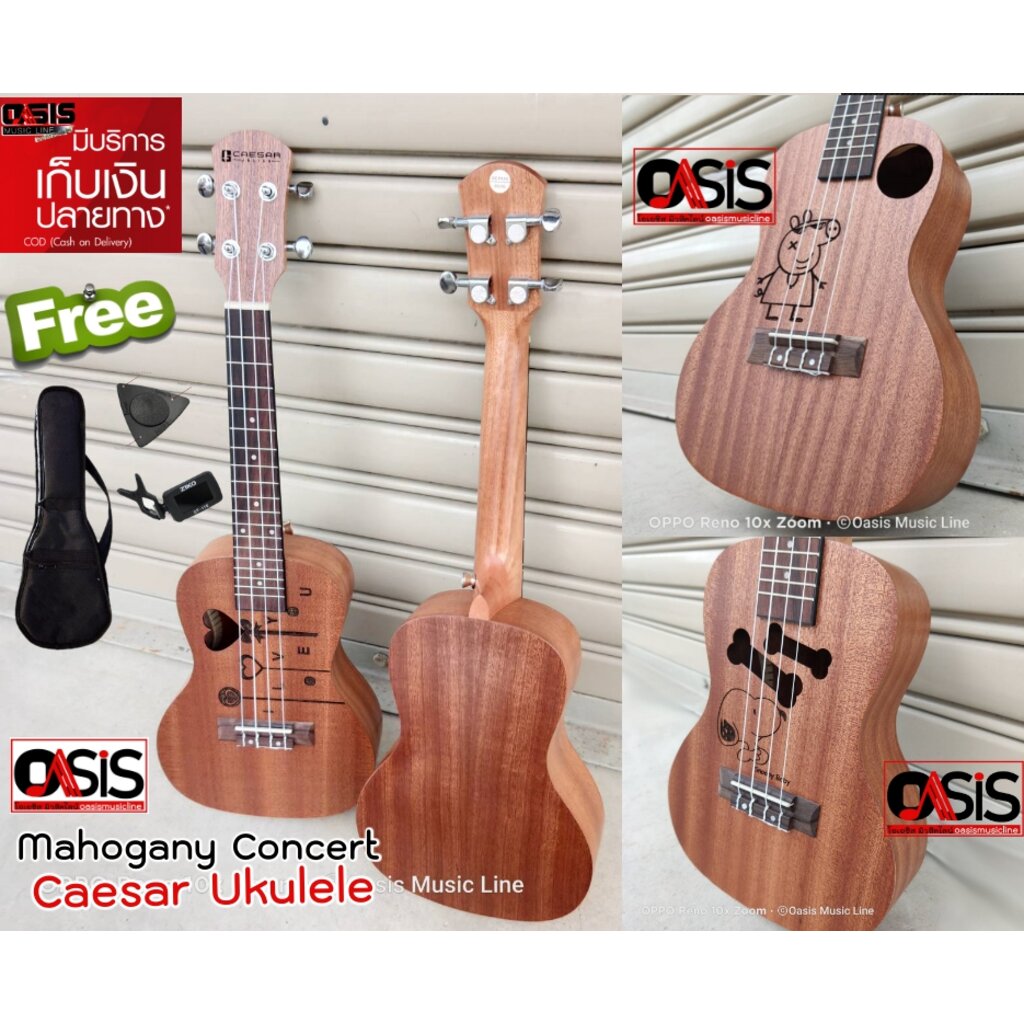 (ส่งทุกวัน) อูคูเลเล่24นิ้ว ไม้ Mahogany ukulele Caesar UK-243 ((ฟรีกระเป๋า+Pick+Tuner)) อูคูเลเล่ U