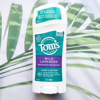 โรลออนสติ๊ก Natural Long Lasting Deodorant, Wild Lavender 64 g (Toms of Maine®) ดับกลิ่นกาย