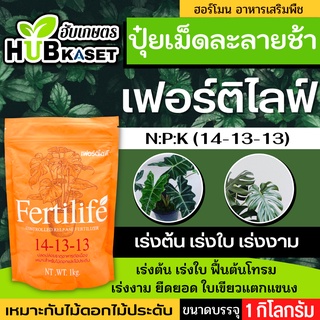 🌱 เฟอร์ติไลฟ์ 14-13-13(ปุ๋ยเม็ดละลายช้า) เร่งงาม ยืดยอด แตกแขนง ขนาดบรรจุ 1 กิโลกรัม