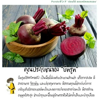 บีทรูทอบกรอบ "PONDOออแกนิคอบกรอบ" กรอบอร่อย ไม่หืน ไม่อ้วน ผักอบกรอบ ผลไม้อบกรอบ พร้อมทาน