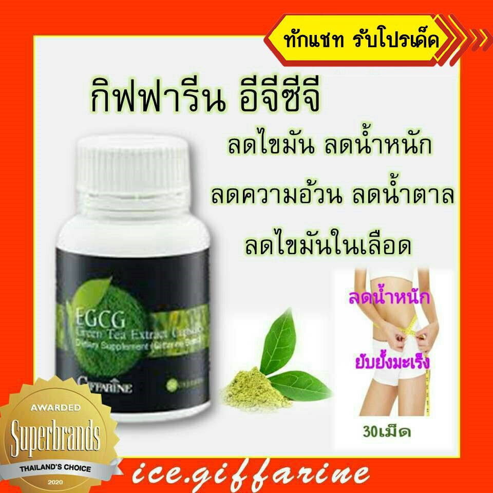 ส่งฟรี อีจีซีจี กิฟฟารีน ลดไขมัน ลดน้ำหนัก ลดความอ้วน ลดไขมันในเลือด กำจัดไขมัน ไขมันส่วนเกิน ชาเขียวลดไขมัน