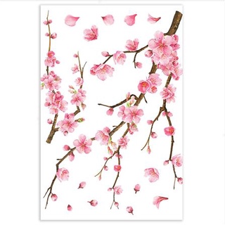 พร้อมส่ง สติ๊กเกอร์ลอกน้ำ DIY LIVING STYLE SAKURA 34X47 ซม. แต่งผนัง sticker