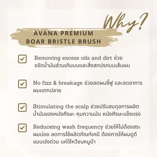 AVANA PREMIUM BOAR BRISTLE BRUSH หวีขนหมูป่า ผมเงางาม นุ่มเด้ง ในพริบตา