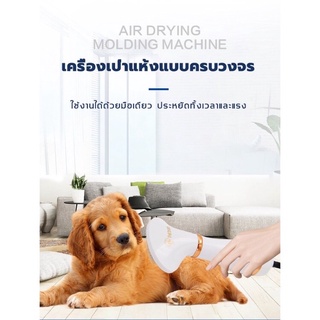 พร้อมส่ง📌 ปลั๊กไทยไม่ต้องใช้หัวแปลง📍Pet grooming dryer หวีแปรงไดร์เป่าขนสัตว์เลี้ยงไฟฟ้า📍