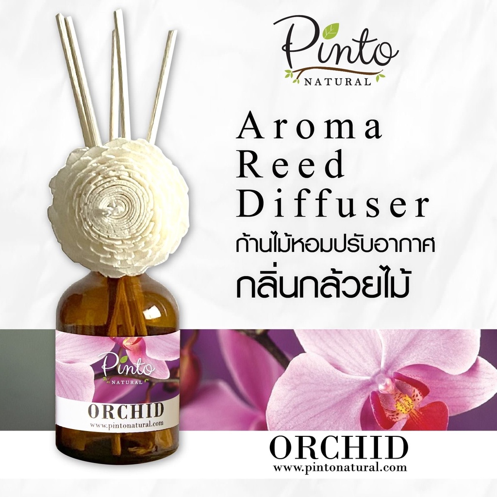 Pinto Natural Reed Diffuser Orchid ก้านไม้หอมปรับอากาศ กลิ่นกล้วยไม้ ขนาด 50ml. และ 100ml.