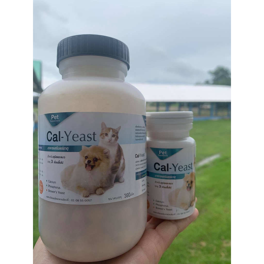 WLP300 Hefeweizen Ale Yeast ( 1 à¸‹à¸­à¸‡ 40 ml) homebrewthai ThaiPick