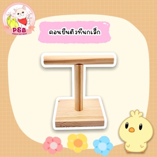 คอนไม้ตัวที คอนไม้ผกพา สำหรับนกเล็ก-กลาง