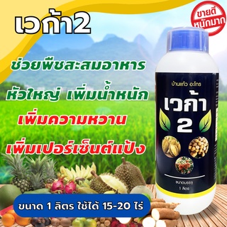 ปุ๋ยน้ำฮอร์โมนพืช เวก้า2 หัวใหญ่ เพิ่มน้ำหนัก เพิ่มความหวาน ขนาด 1 ลิตร