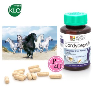 ถั่งเช่า โสมเกาหลี แอล-อาร์จินีน คอร์ดิเซพส์ ผู้ชาย ขาวละออ KHAOLAOR Cordyceps M (Men) 36 Capsules