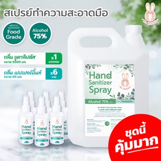 ชุดนี้คุ้มมาก!! แอลกอฮอล์ สเปรย์ 75% กลิ่นยูคาลิปตัส ขนาด 5 ลิตร 1 แกลลอน + กลิ่น เปปเปอร์ มินต์ 50ml. 6 ชวด