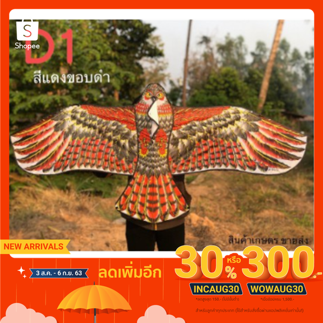 My Image 33