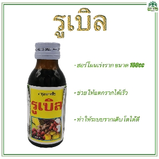 รูเบิล ฮอร์โมนเร่งราก สารเร่งราก น้ำยาเร่งราก สารเรียกราก ขนาด 100 cc RUBLE 100 cc (Root hormones)